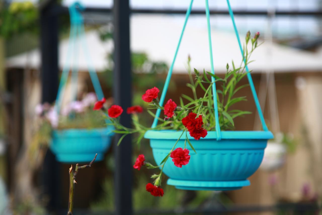 Terrace Garden Boutique Hotel Tbilisi Luaran gambar