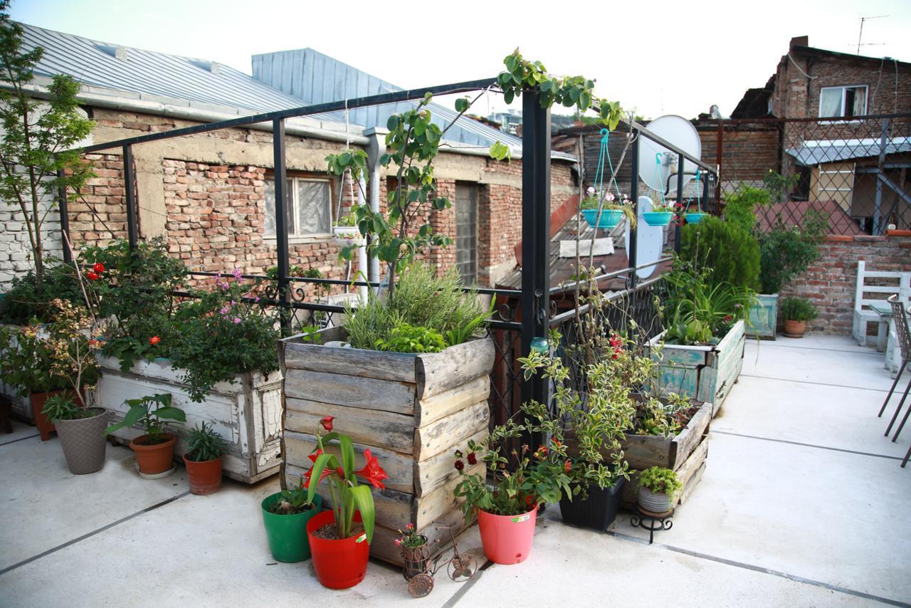 Terrace Garden Boutique Hotel Tbilisi Luaran gambar